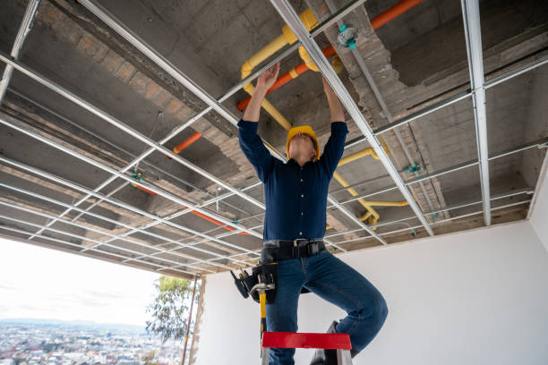 Best Commercial Plumbing Services  in Taylors Falls, MN