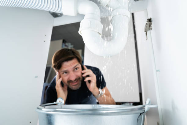 Best Clogged Drain Plumber  in Taylors Falls, MN